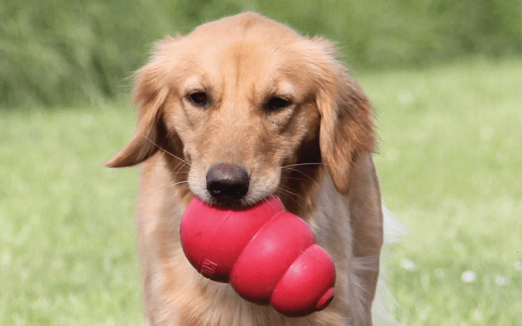 JOUETS