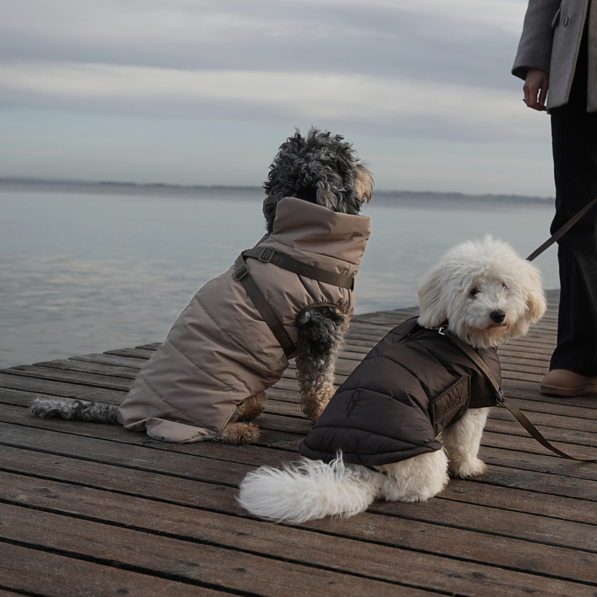Manteau pour chien Nora | Espresso