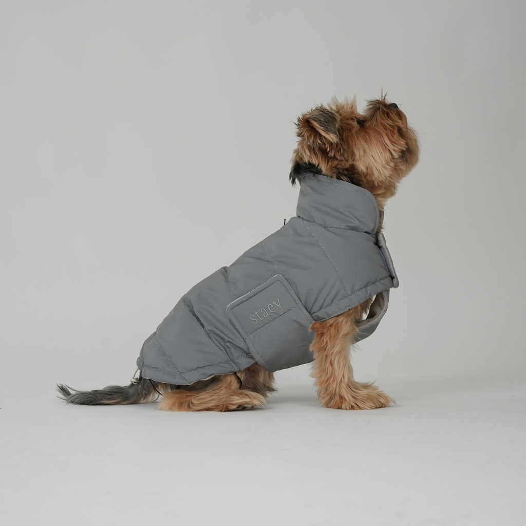 Manteau pour chien Nora | Réfléchissant