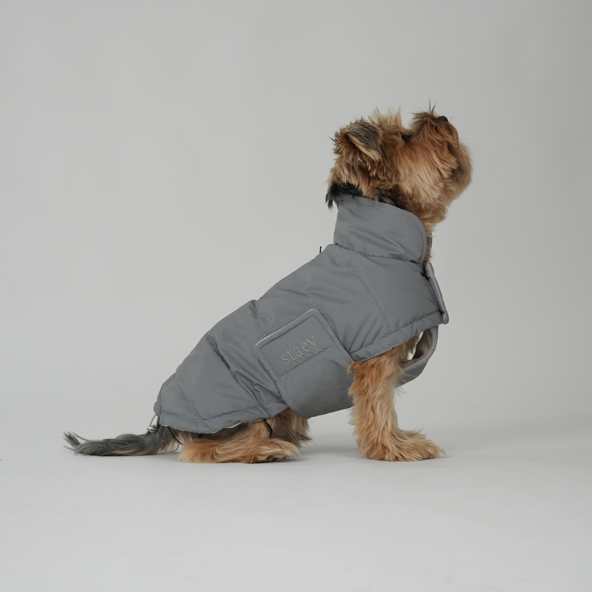 Manteau pour chien Nora | Réfléchissant
