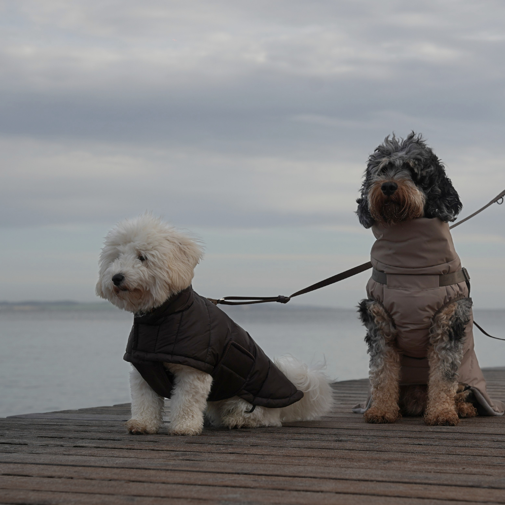 Manteau pour chien Nora | Espresso