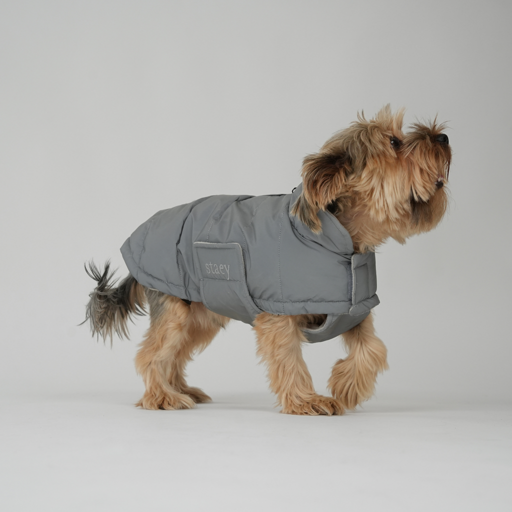 Manteau pour chien Nora | Réfléchissant