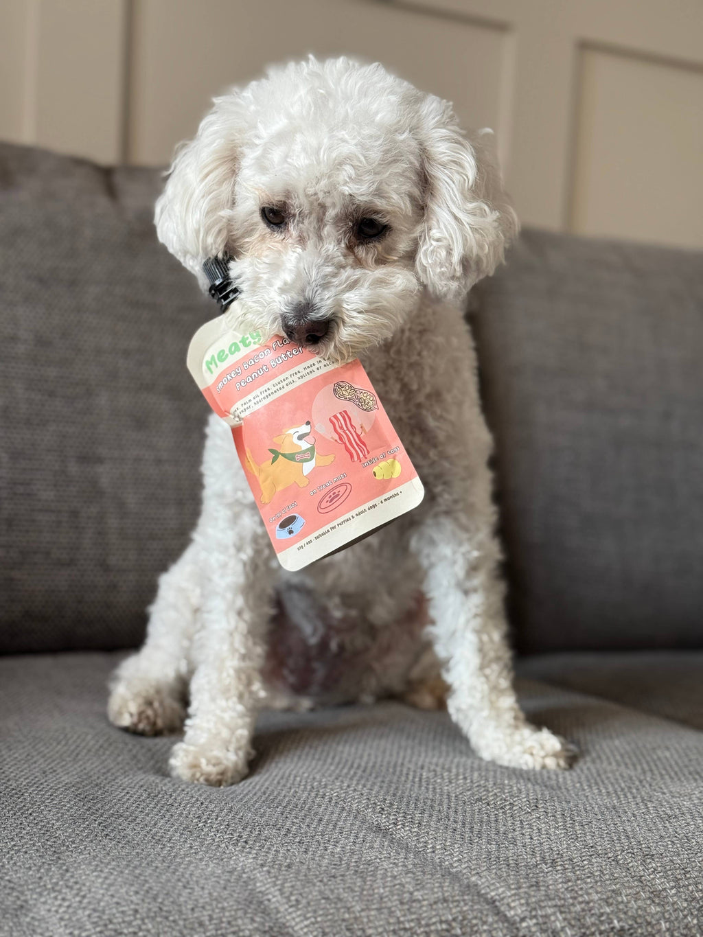 Poche de beurre de cacahuète saveur bacon fumé pour chiens 113 g (4 oz)