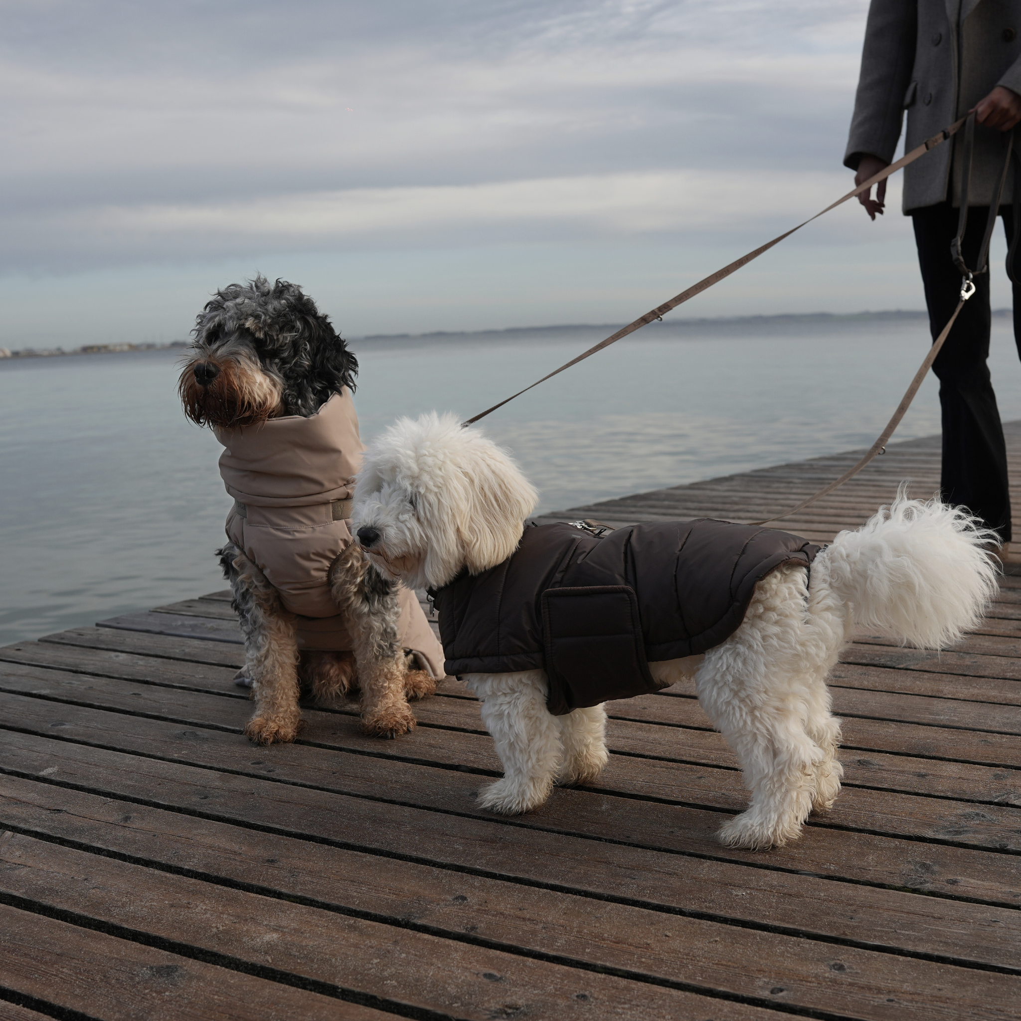 Manteau pour chien Nora | Espresso