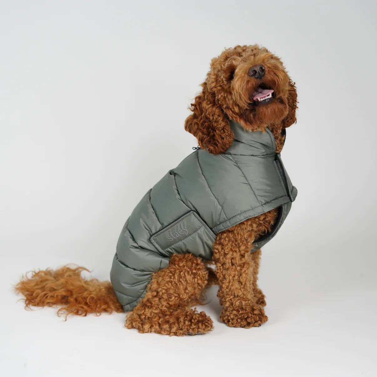 Manteau pour chien Nora | Vert mousse