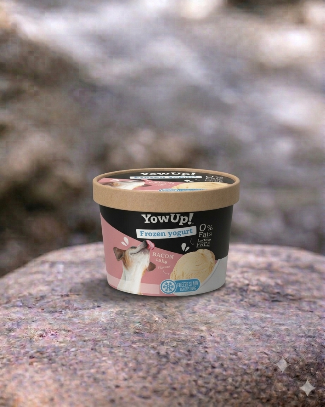 Yaourt Glacé - YowUp!