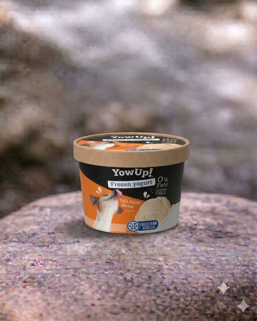 Yaourt Glacé - YowUp!