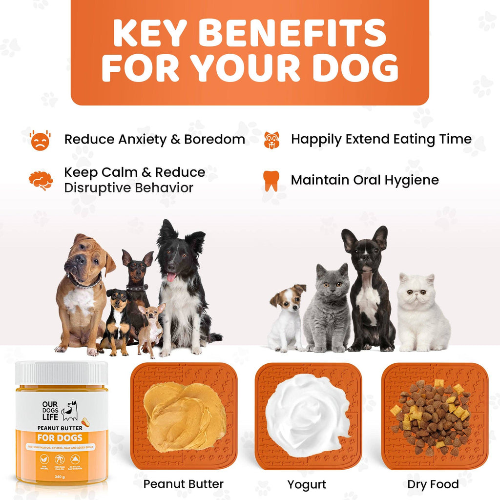 Tapis à lécher pour chiens avec épandeur et brosse