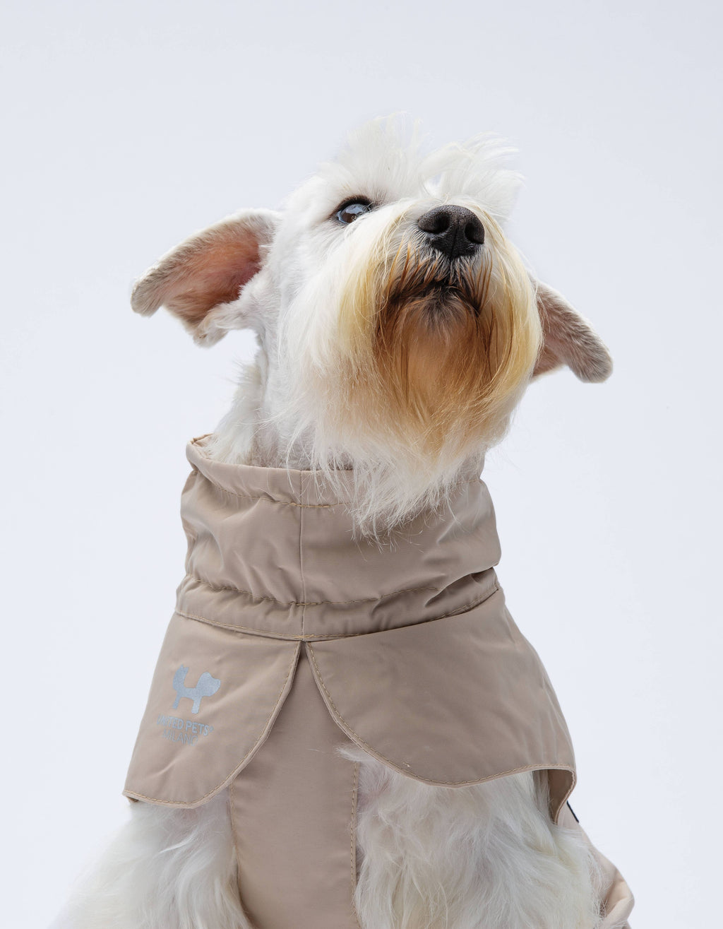 Imperméable pour chien en polyester doux