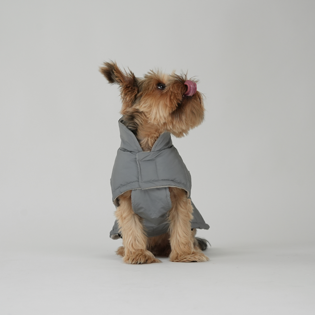 Manteau pour chien Nora | Réfléchissant
