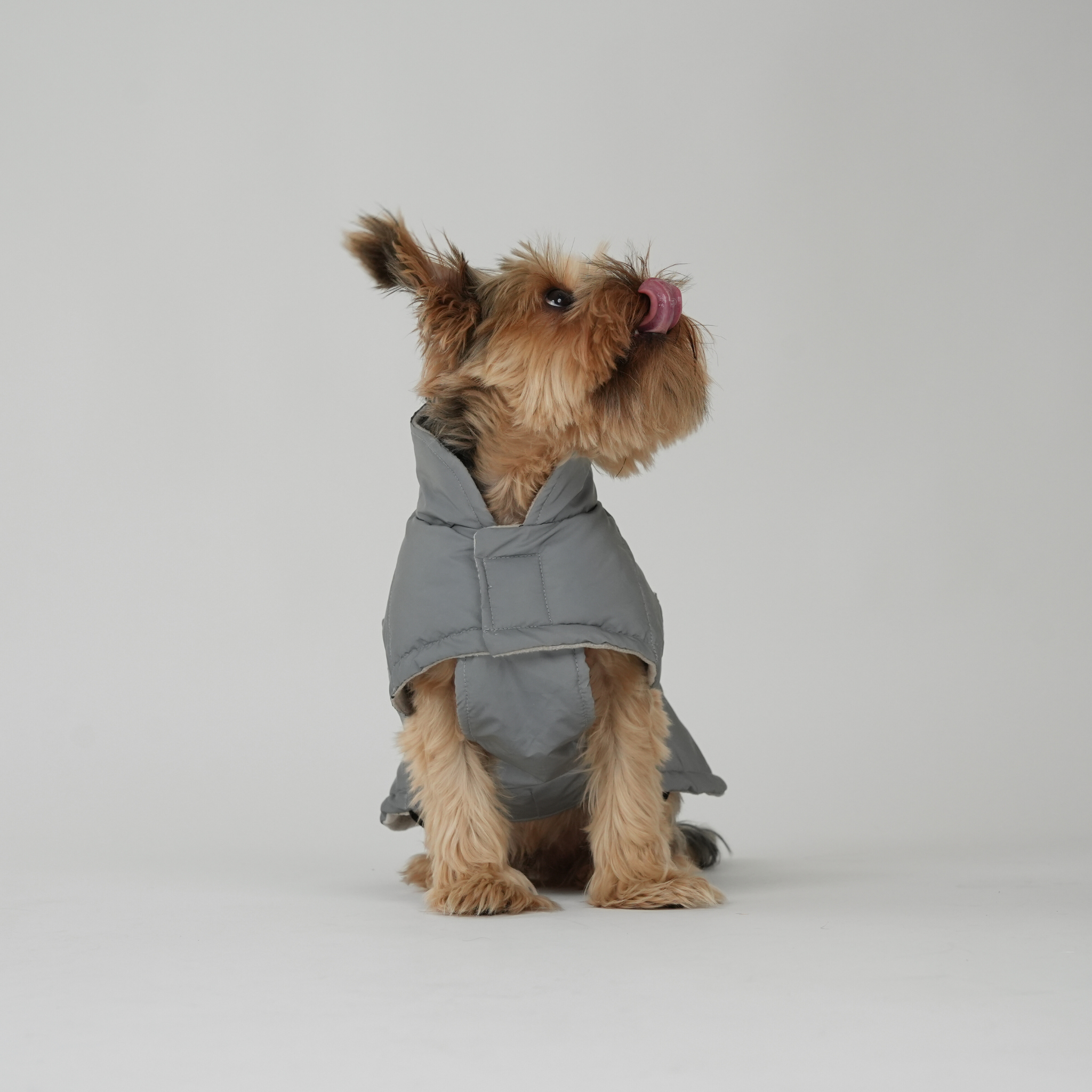 Manteau pour chien Nora | Réfléchissant