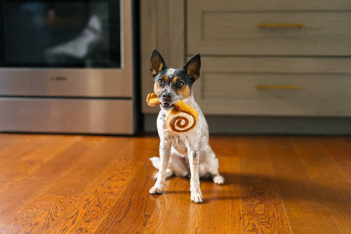 Cinnamon Rolls