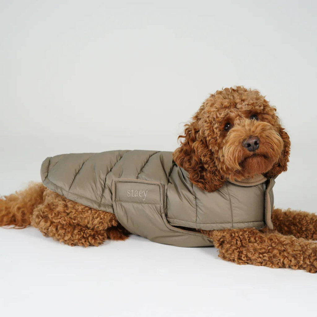 Manteau pour chien Nora | Taupe