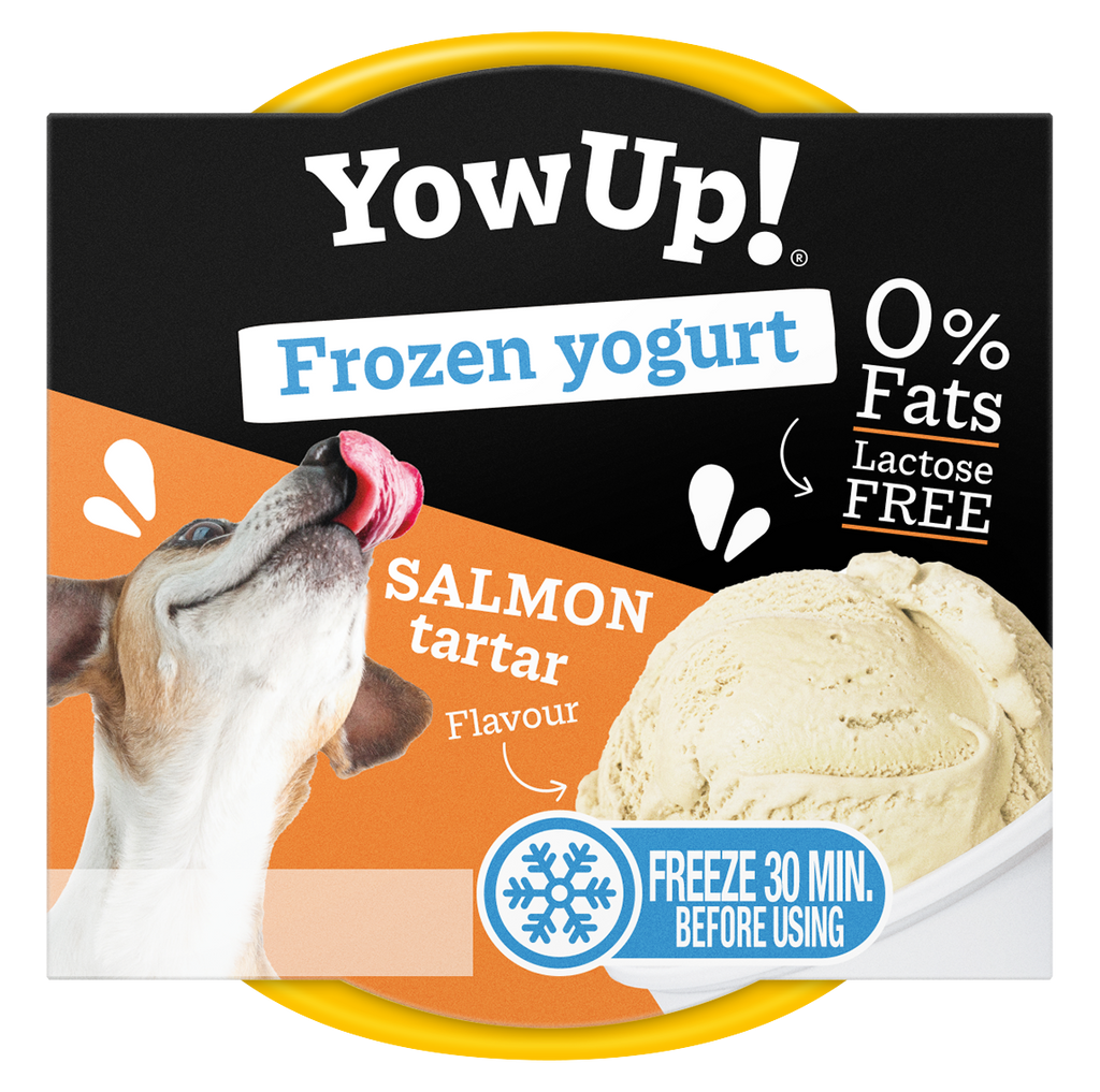 Yaourt Glacé - YowUp!