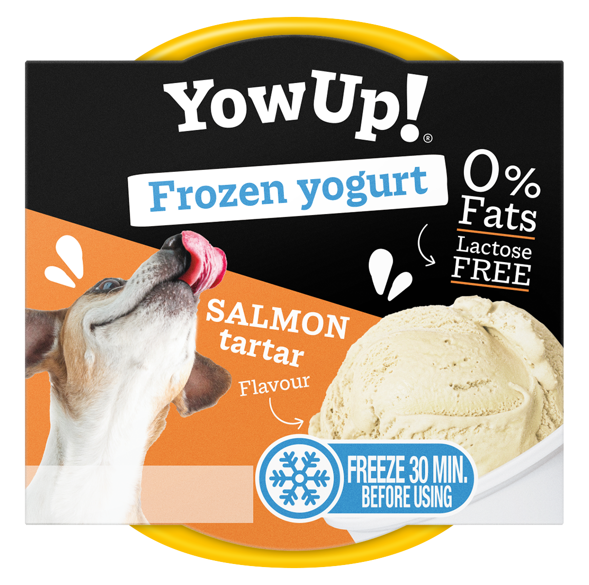 Yaourt Glacé - YowUp!