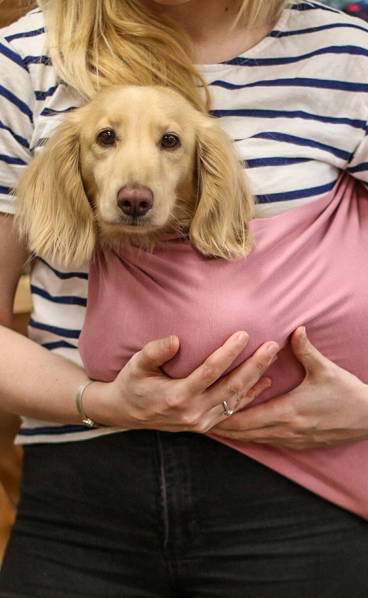 Écharpe légère pour chien