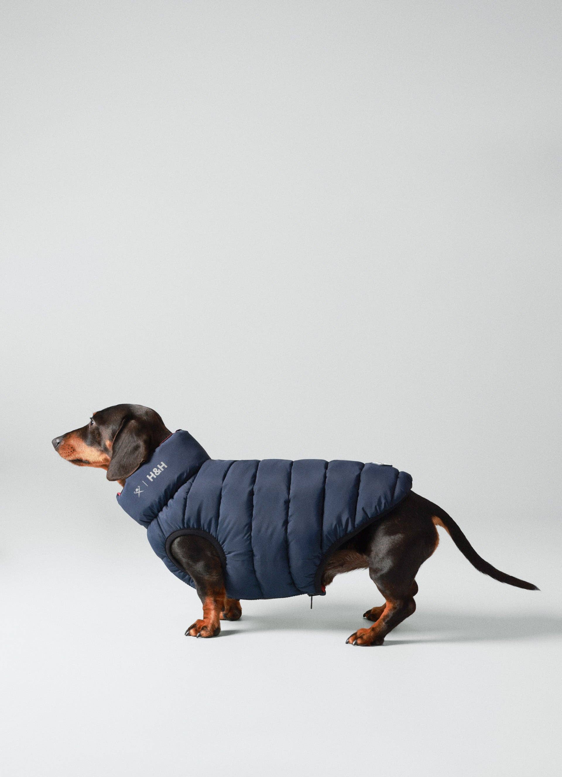 Doudoune H&H Bleu et rouge