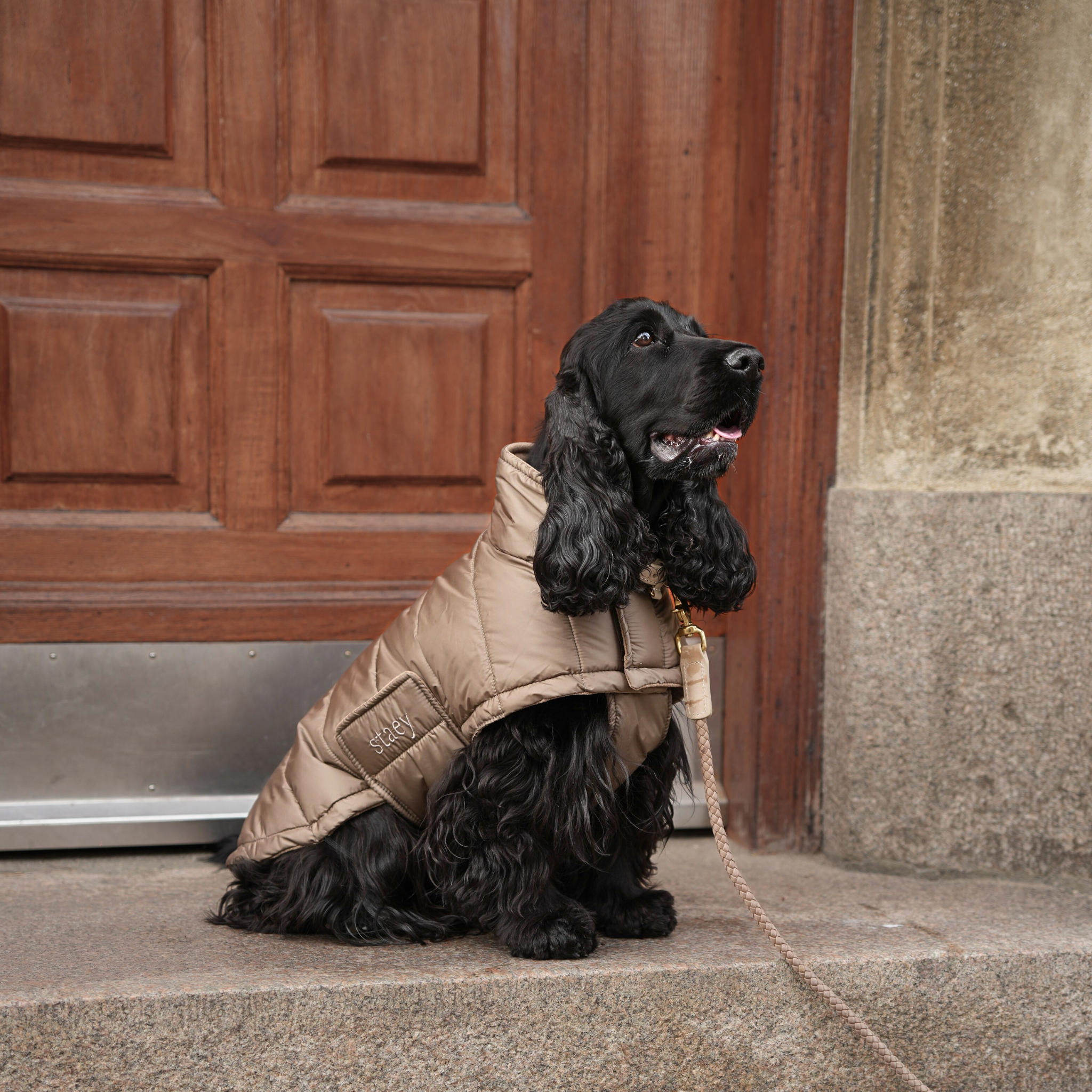 Manteau pour chien Nora | Taupe