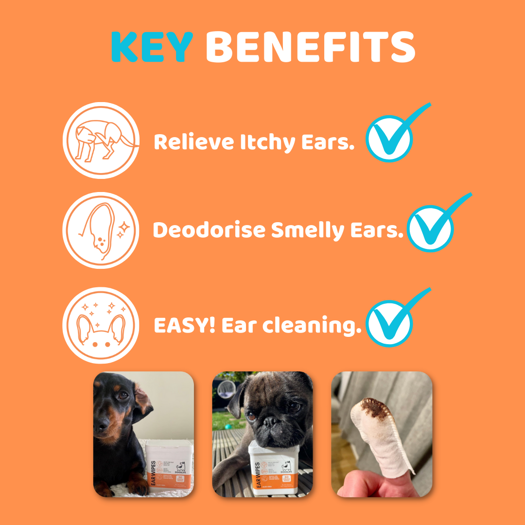 Lingettes pour oreilles - DOGSLIFE