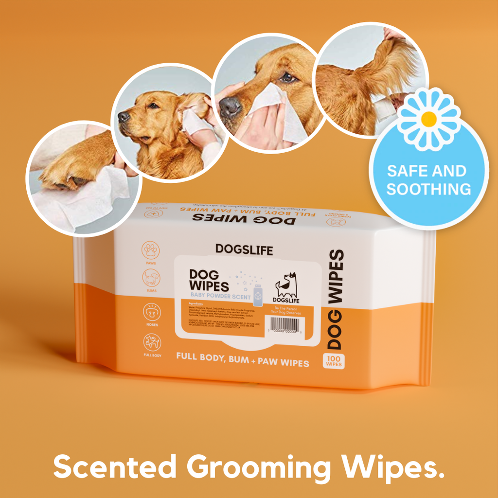 Lingettes - DOGSLIFE