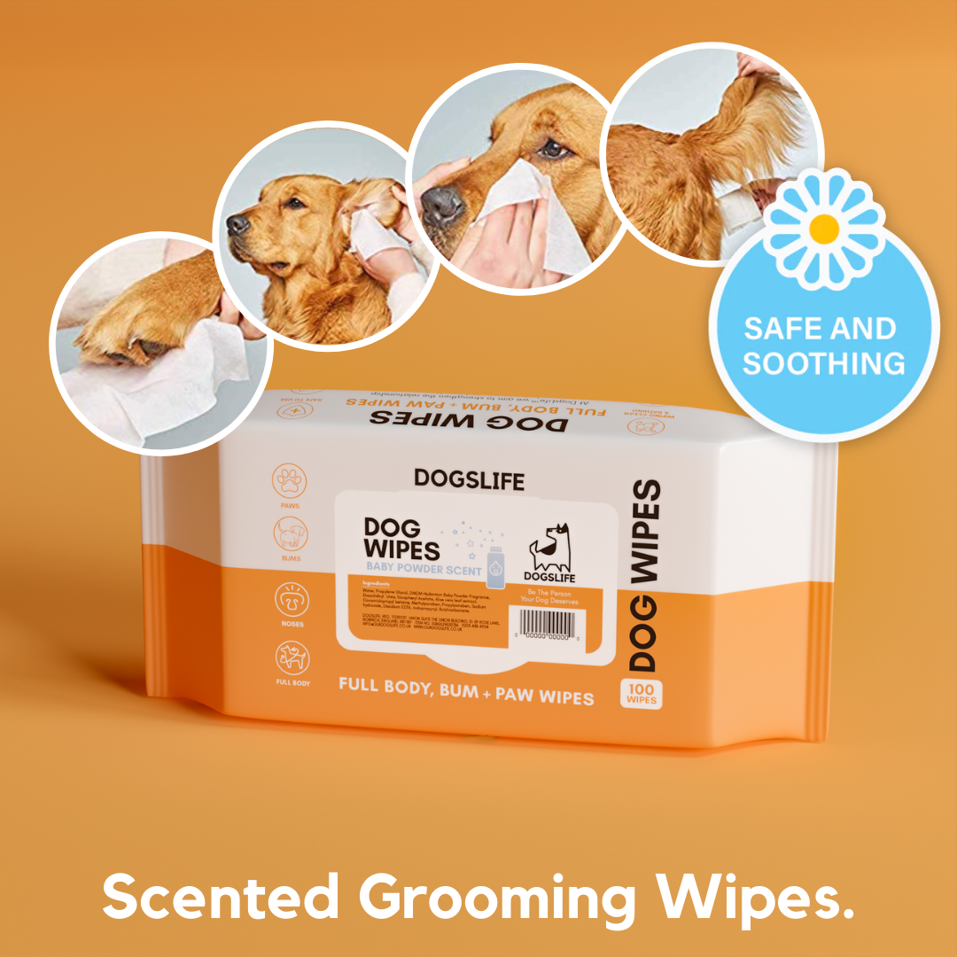 Lingettes - DOGSLIFE