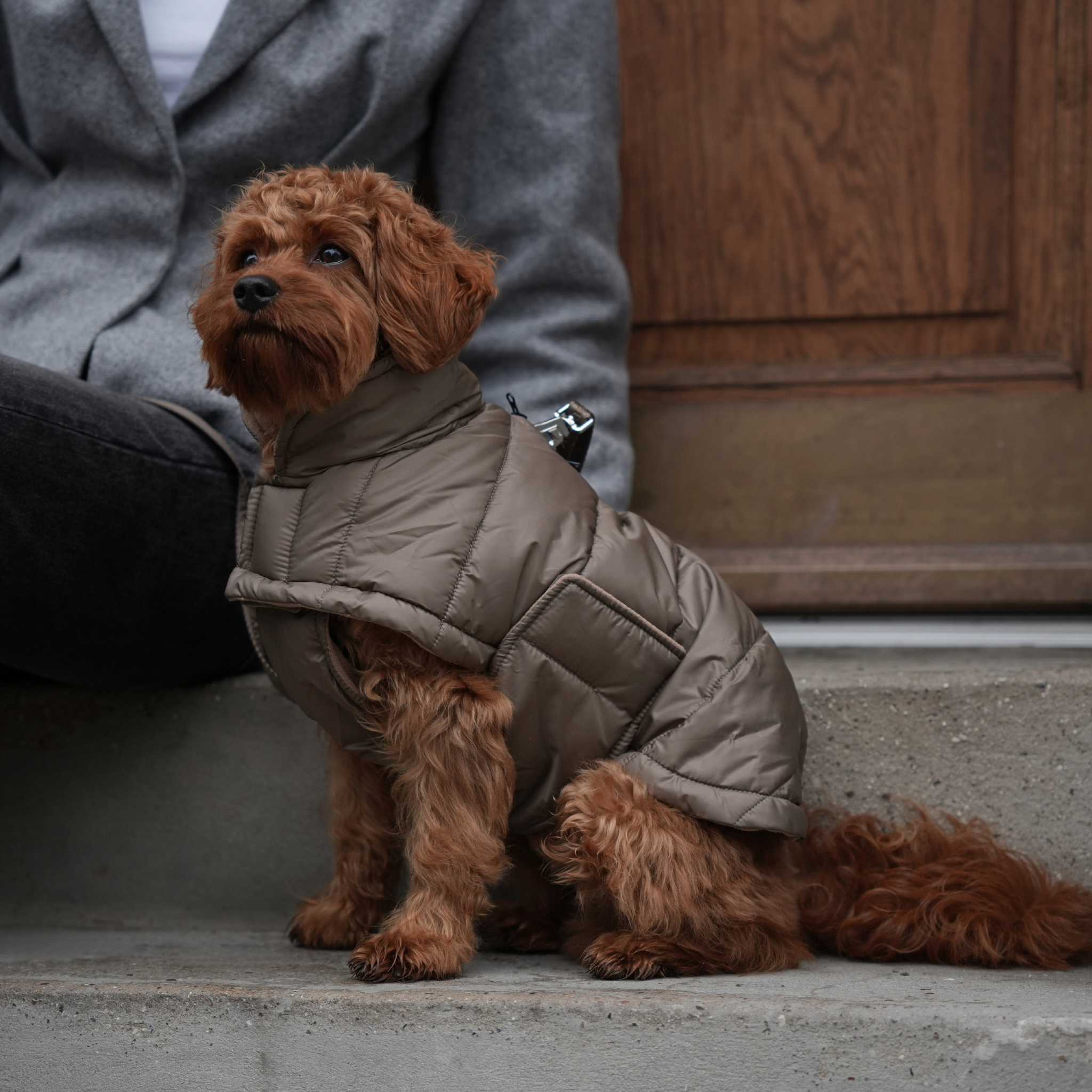Manteau pour chien Nora | Taupe