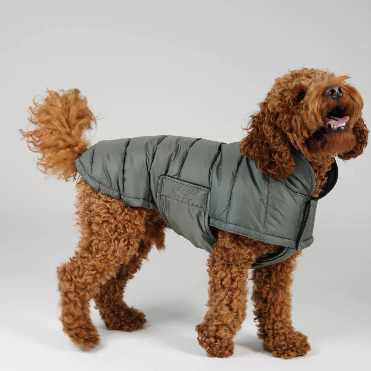 Manteau pour chien Nora | Vert mousse