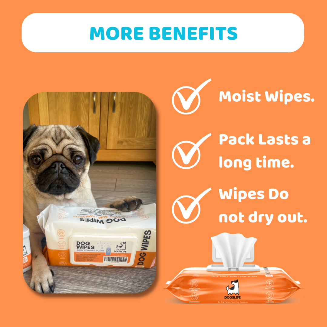 Lingettes - DOGSLIFE