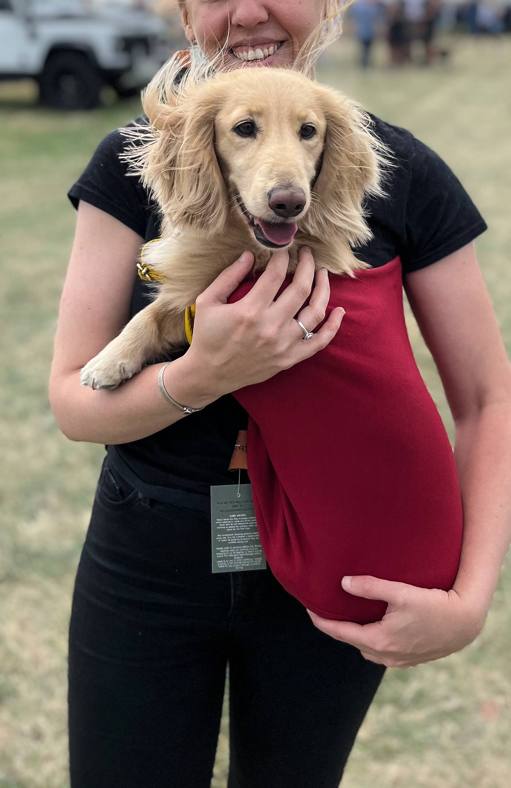 Écharpe légère pour chien