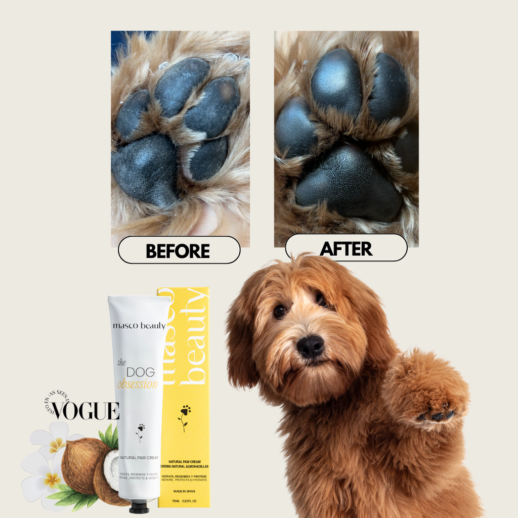 Crème pour coussinets MASCO BEAUTY