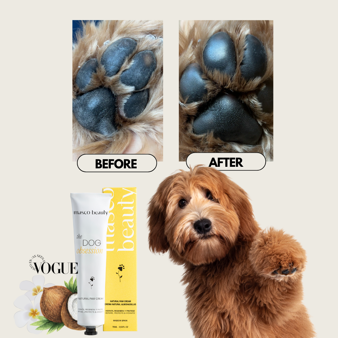 Crème pour coussinets MASCO BEAUTY