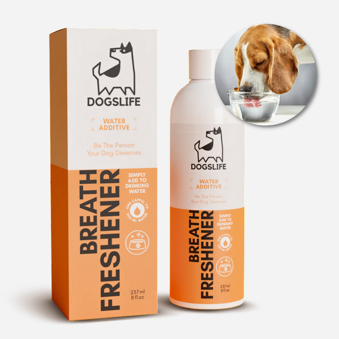 Bain bouche - DOGSLIFE