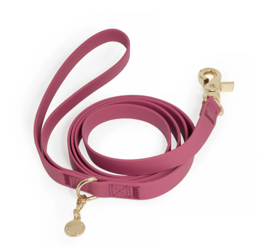 Laisse Simple Biothane - SUNNY TAILS
