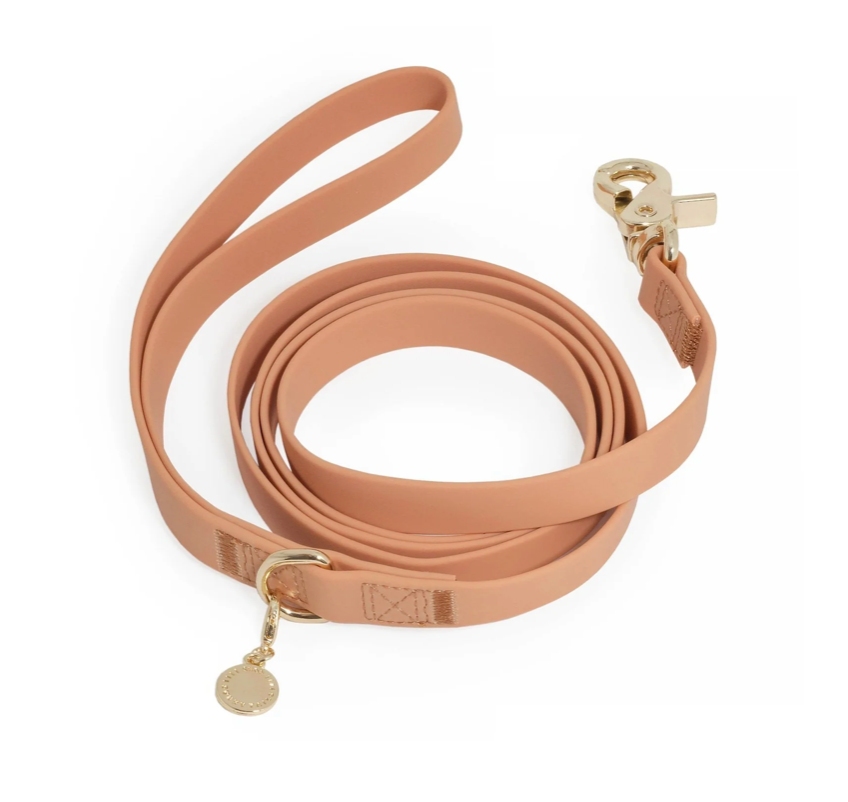 Laisse Simple Biothane - SUNNY TAILS