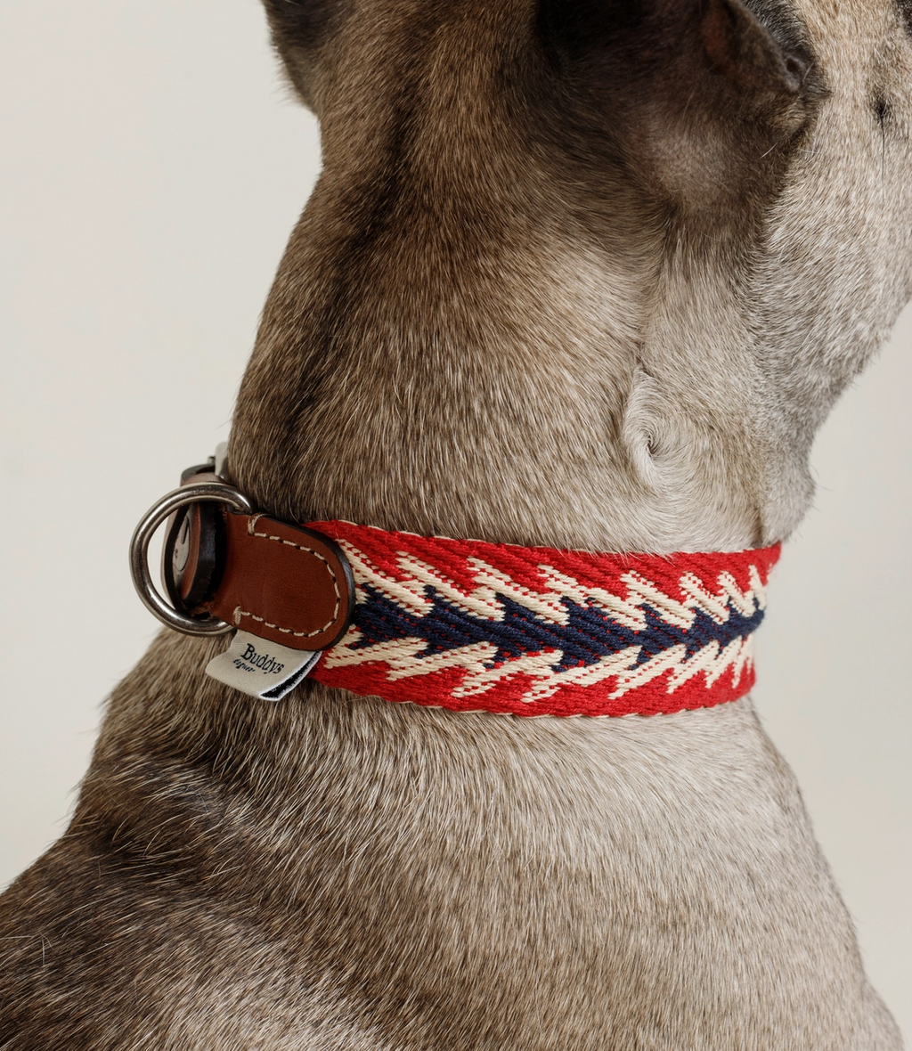 Ensemble péruvien laisse / collier rouge - Buddys Dogwear