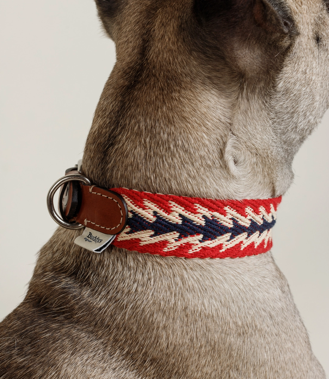 Ensemble péruvien laisse / collier rouge - Buddys Dogwear