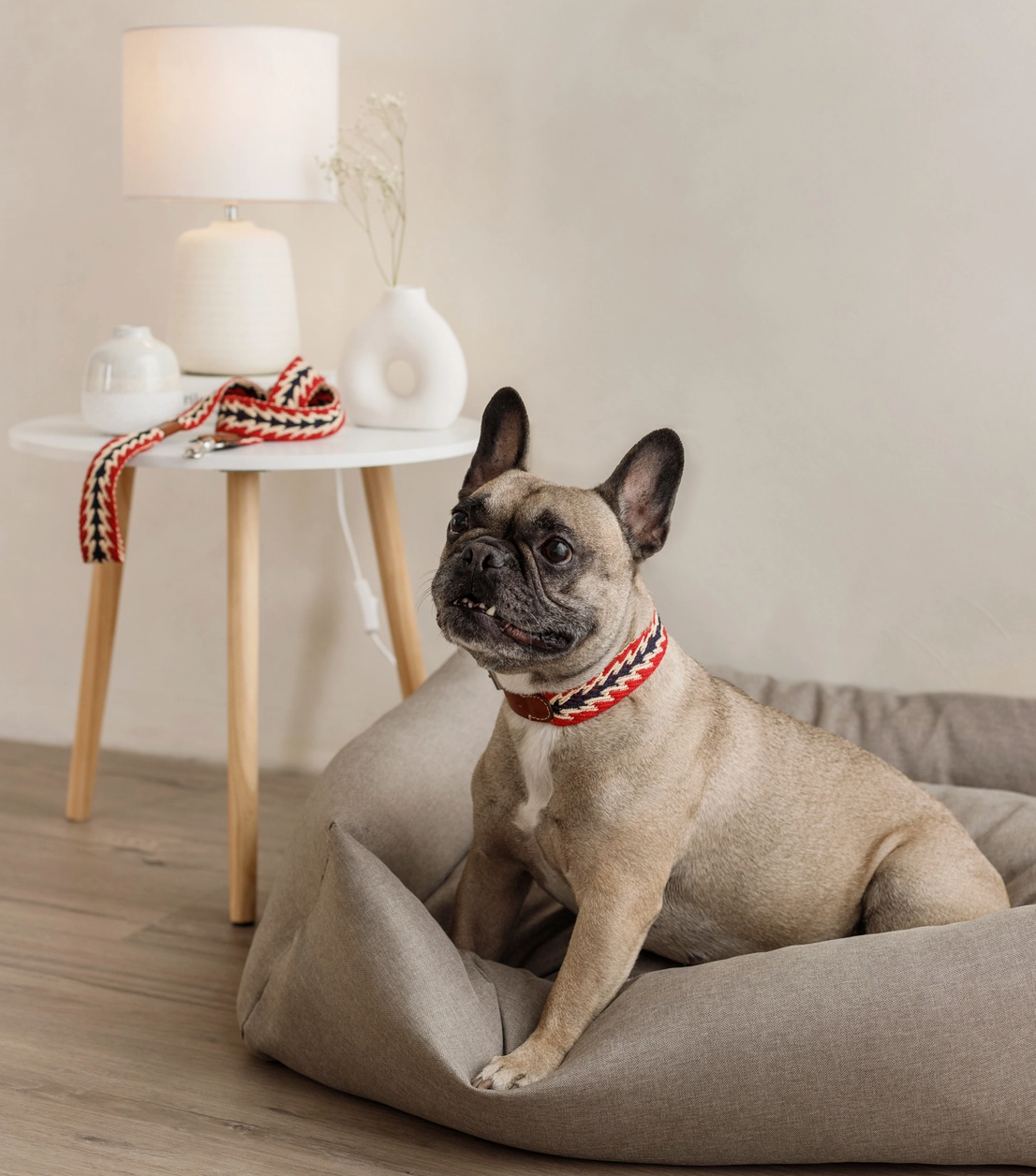 Ensemble péruvien laisse / collier rouge - Buddys Dogwear