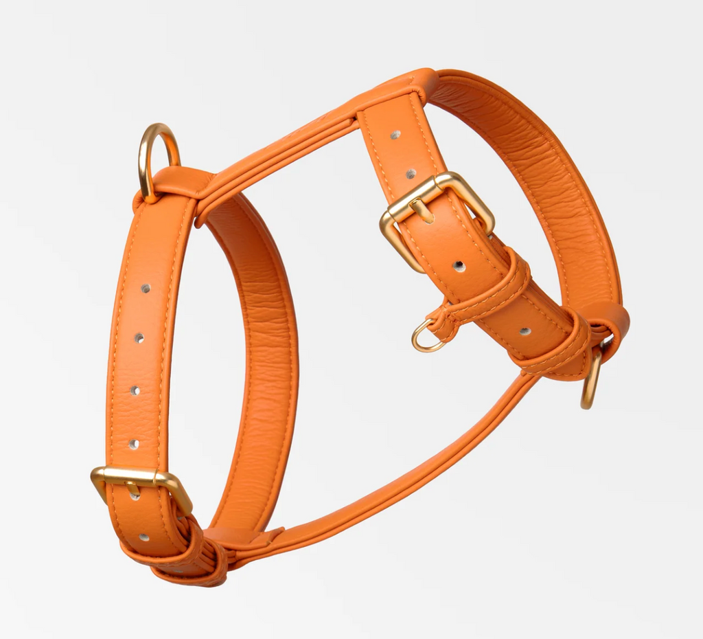 Harnais Cuir Vegan - NINI
