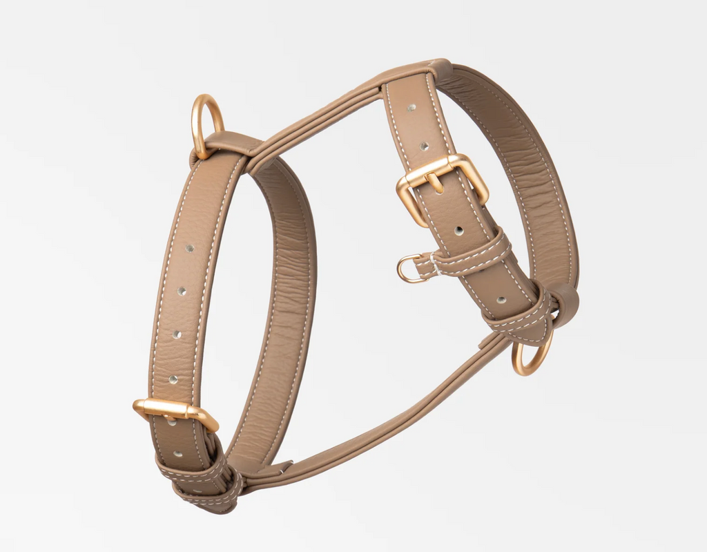 Harnais Cuir Vegan - NINI