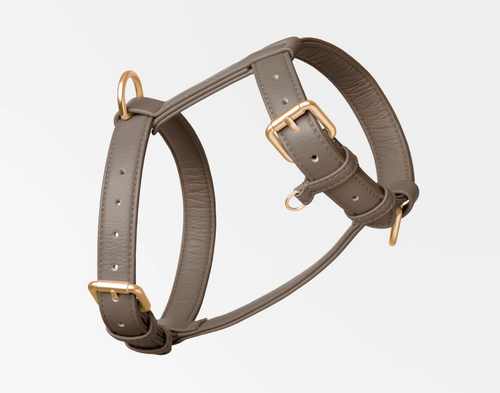 Harnais Cuir Vegan - NINI