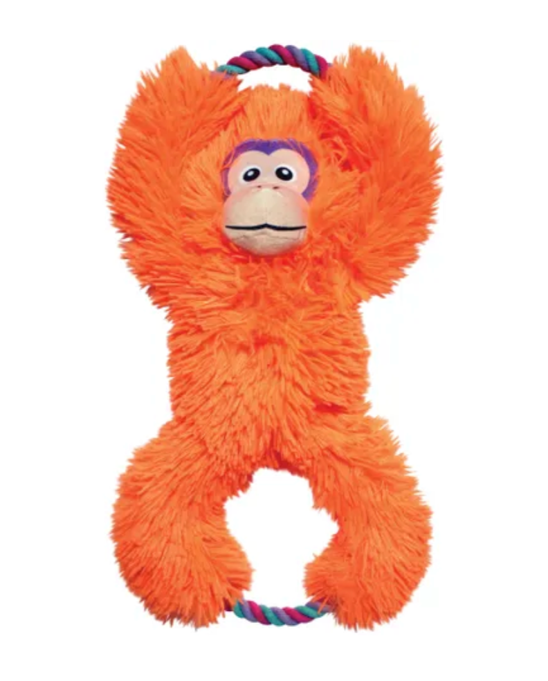Singe - KONG