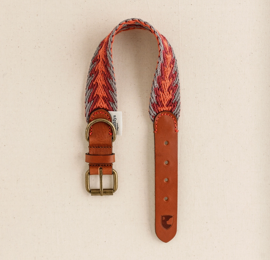 Ensemble péruvien laisse / collier orange - Buddys Dogwear
