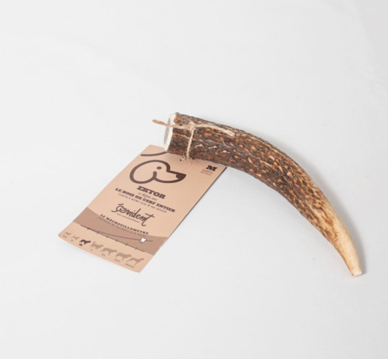 Bois de cerf entier