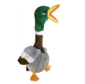 Canard - KONG