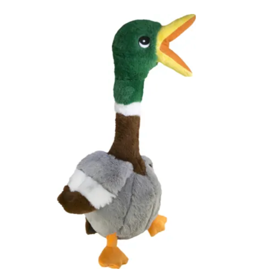 Canard - KONG