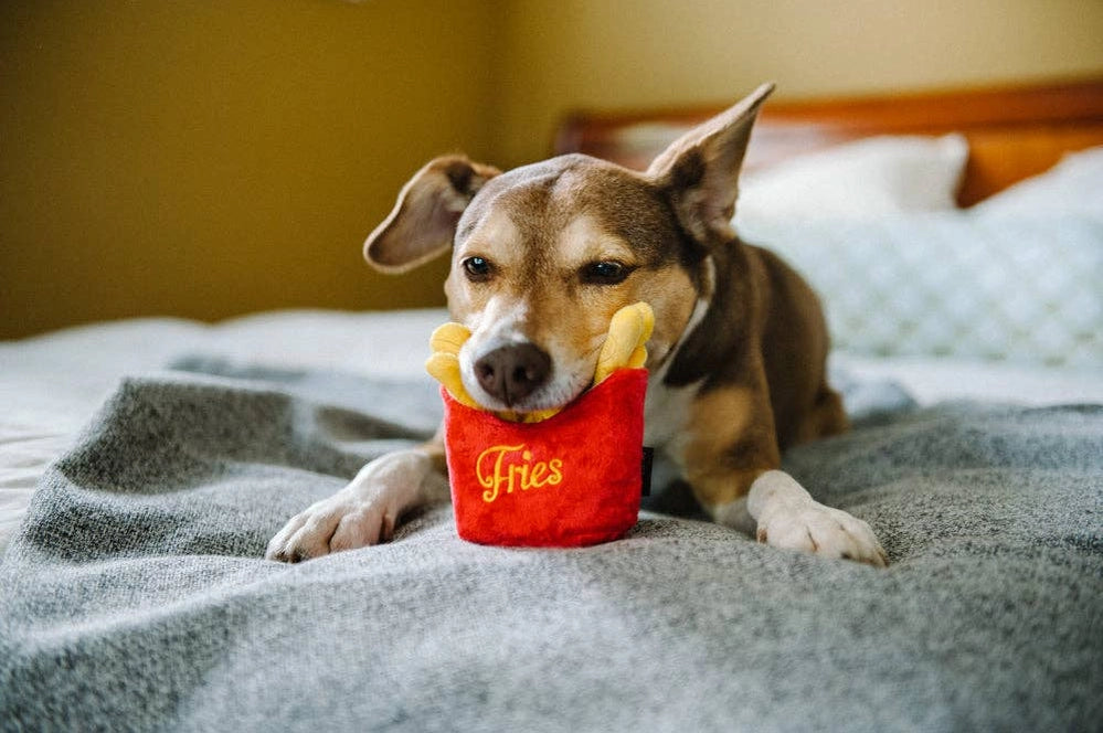Frites - P.L.A.Y