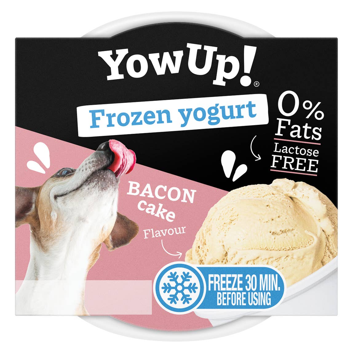 Yaourt Glacé - YowUp!