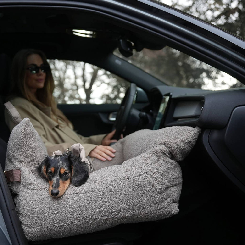 Siège Auto - STAEY