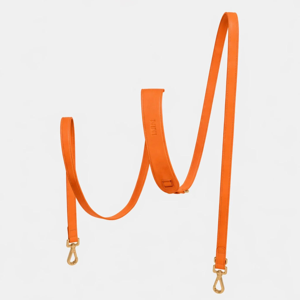 Laisse Cuir Vegan - NINI