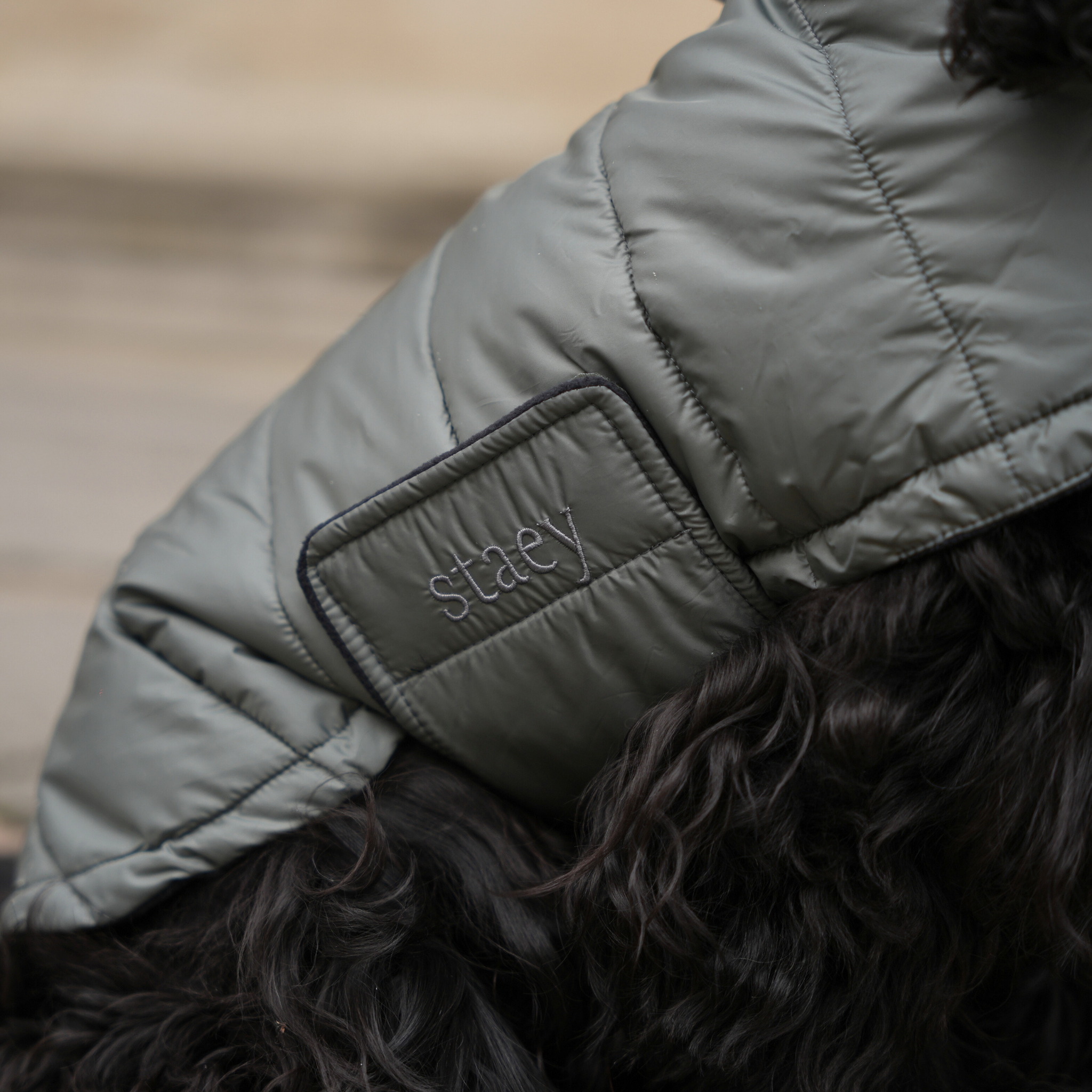 Manteau pour chien Nora | Vert mousse
